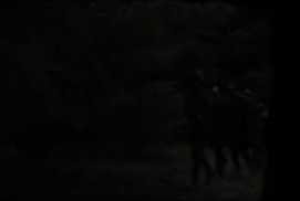 Operation Finale 2018